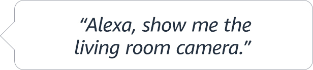 Alexa, show me the living room camera.